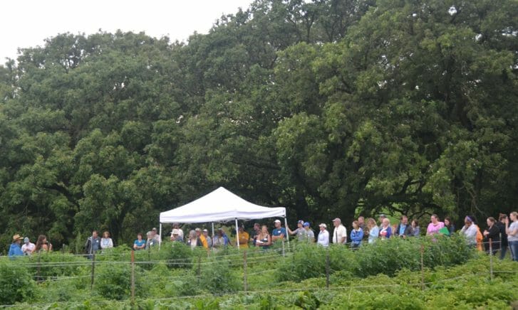 Attendees toured through the fields at One Farm as the drizzle came to an end.