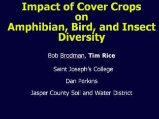 Impact of Cover Crops