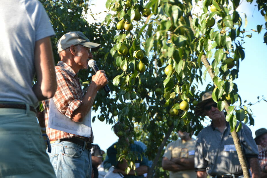 David tells attendees about one of his favorite pear cultivars, Gourmet. 