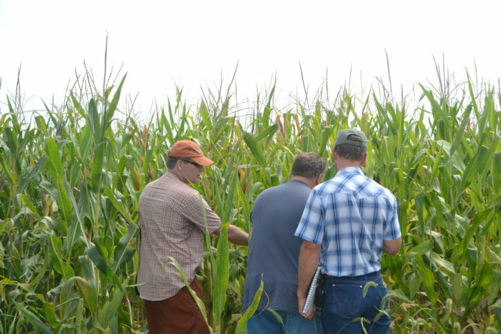 New PFI member Mike McDonald (far left) takes a look with others at the corn Paul planted this year that followed his wheat+diverse cover mix+cattle grazing last year. Paul hopes to replace a good amount of fertilizer with the legumes in his cover crop mix and the manure from the grazing cattle.