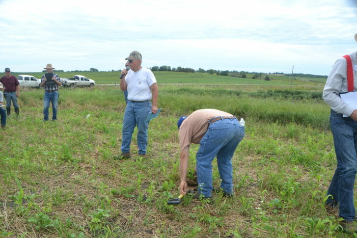 Paul shows off a diverse cover crop mix that he seeded in early August after harvesting winter wheat in late July. Doug Peterson of the NRCS digs up some soil and roots.