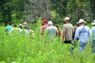 Attendees at Mike DeCook's 2015 Field Day walk the prairie. Prairies and prairie strips can offer multiple conservation benefits.