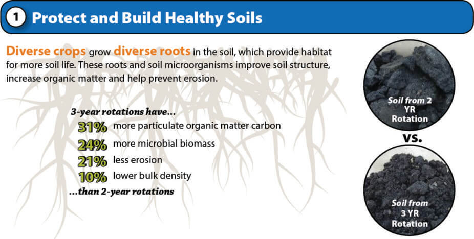 building healthy soils