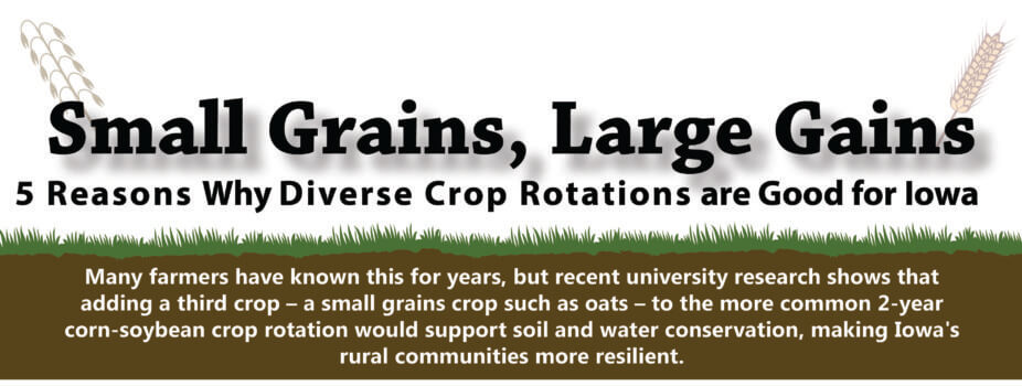 small grains large gains