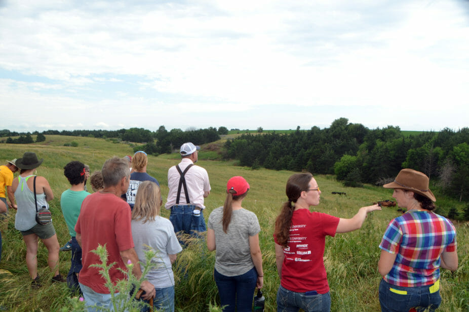 The crowd checks out Nathan's cattle and examines one of the biggest threats to grazing lands in Iowa: cedar invasion.