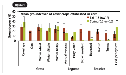 Average groundcover of cover crops in fall and spring across all sites where cover crops were established in standing corn in 2015. Error bars above and below columns represent 90% confidence intervals.