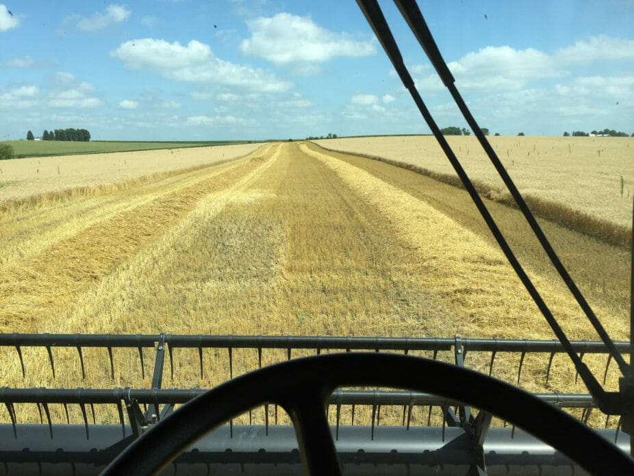 Nathan Anderson harvest spring wheat on July 21, 2016.