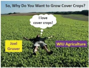 so why do you want to grow cover crops