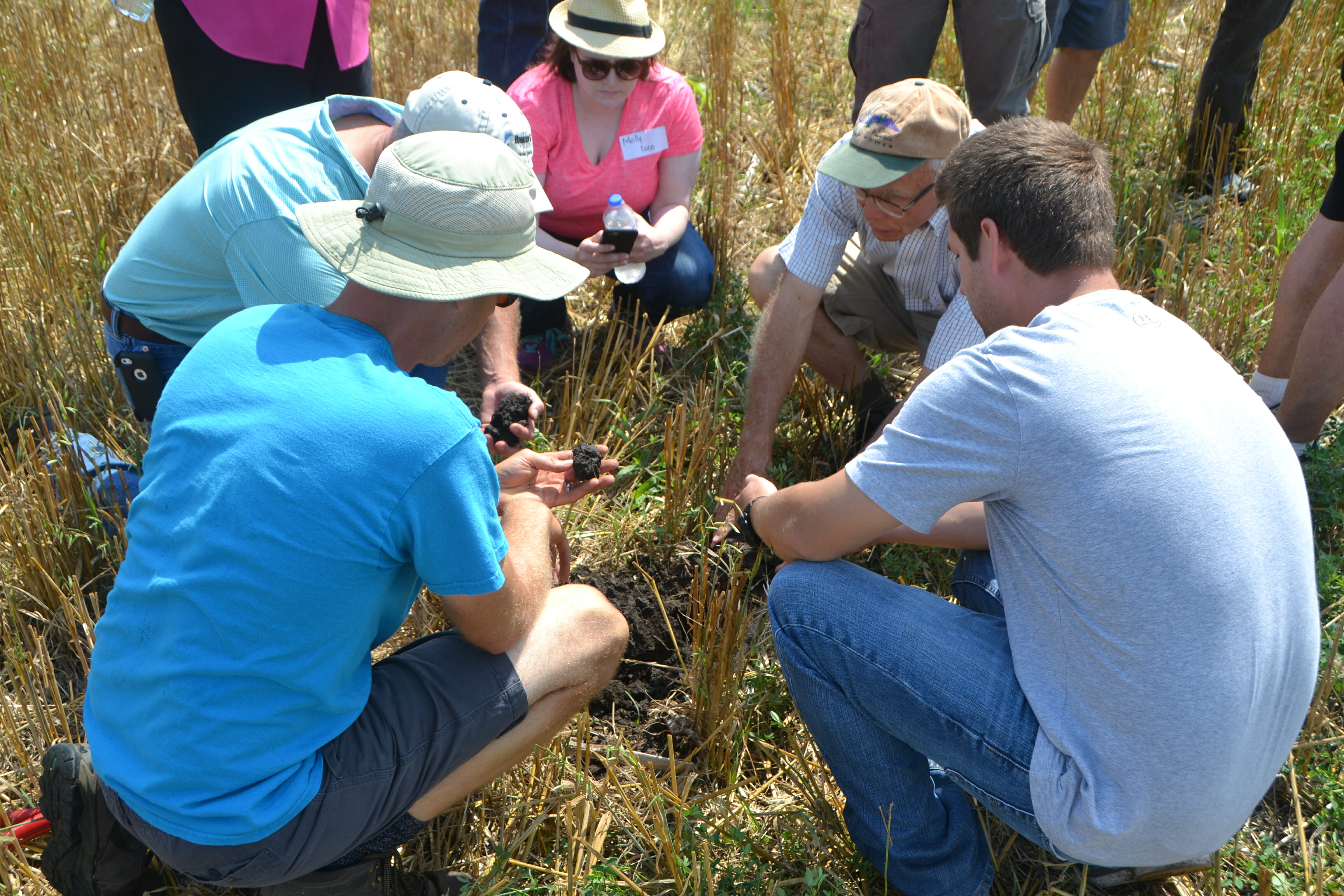 Jon Bakehouse (in blue shirt) and field day attendees inspect the soil beneath a cover crop mix following an oat crop.