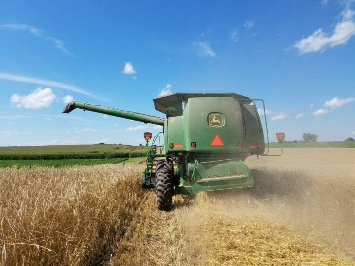 Tim Sieren harvests cereal rye on July 15, 2016.
