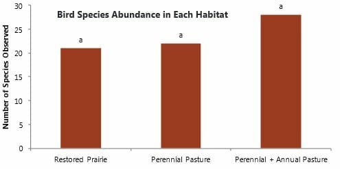 Number of different bird species observed in each habitat type. Columns labeled with the same letters are not significantly different. At P > 0.10, there was no significant difference in number of species between habitats. 