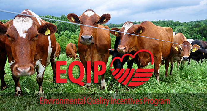 EQIP logo