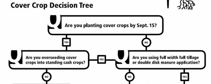 CC Decision Tree