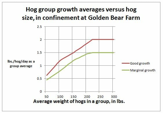 Hog growth rates at Golden Bear Farm