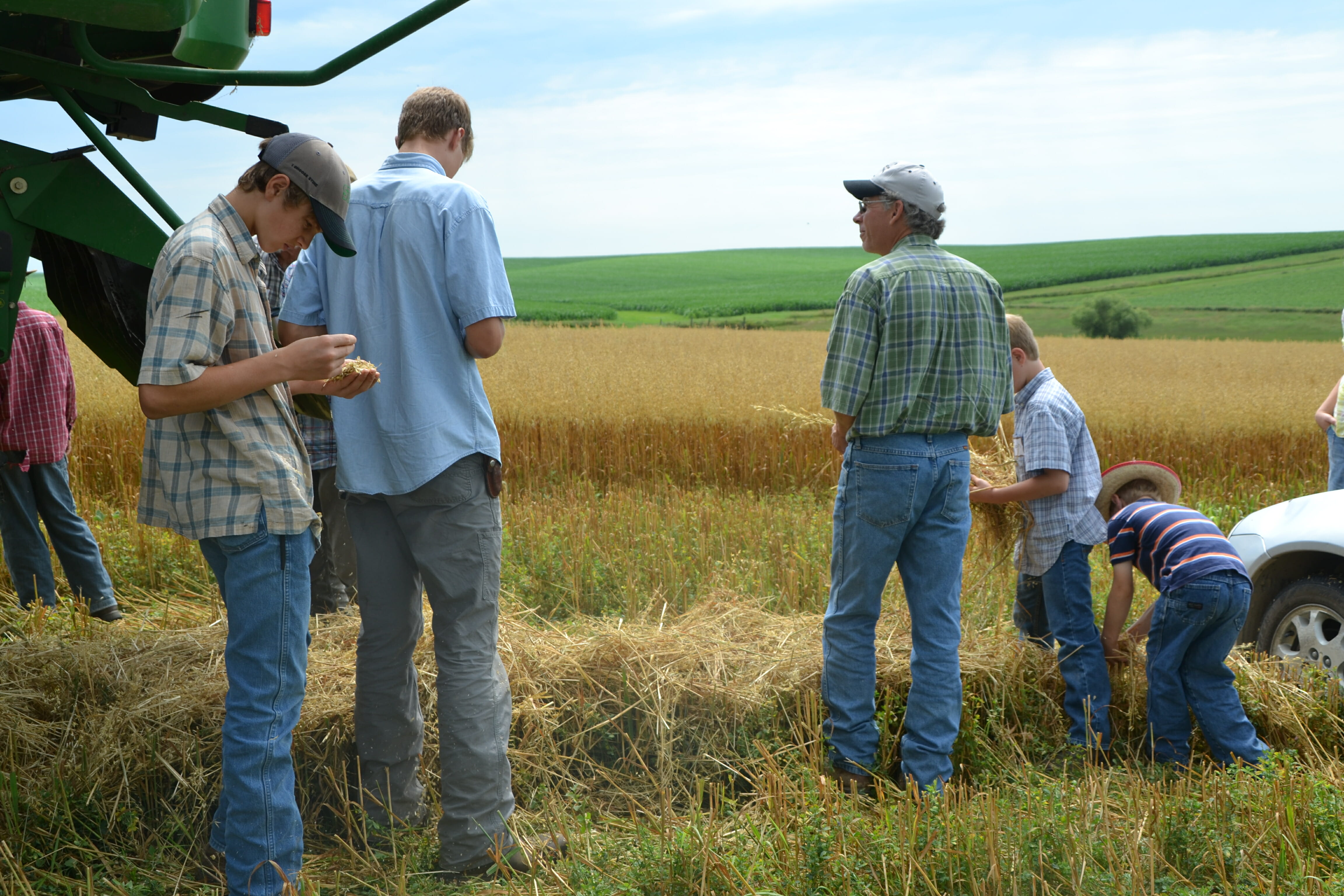 Attendees inspect the alfalfa underseeding from a harvested swath of oats.