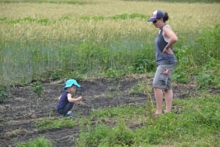 Daughter Jess Frantzen checks out hybrid rye with her son, Beckett