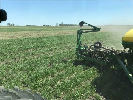 A green corn planter moves through a green field of cereal rye with gaps every 30 inches where the planter is placing the corn seed