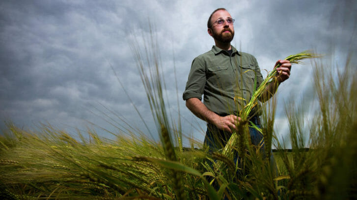 A bearded man in a green shirt stands in a field of green barley, holding a sheath of barley stems underneath a cloudy sky