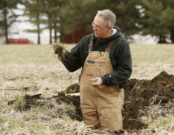 A middle aged man in coveralls stands in a hole dug into a mostly brown field, holding a plant in his hand that has long roots clinging to soil