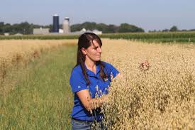 A woman with dark hair and a blue shirt crouches in a field of mature, golden oats inspecting kernels. 